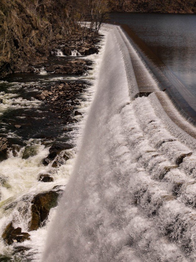 dam, new york, birding