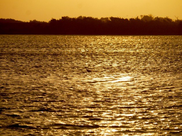 pea island, sunset, outer banks