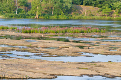 Cohoes Flats