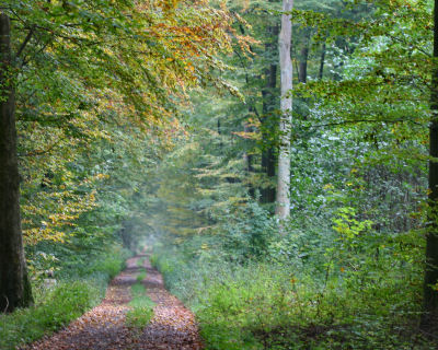 Naturschutzgebiet Elienhain