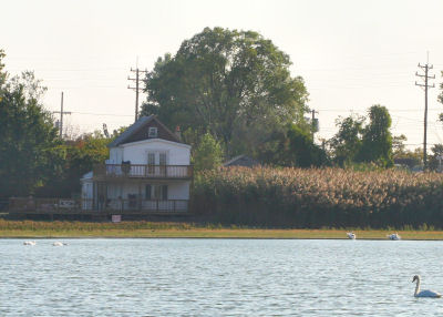 house with a view