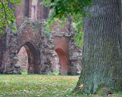 old monastery ruin in Eldena