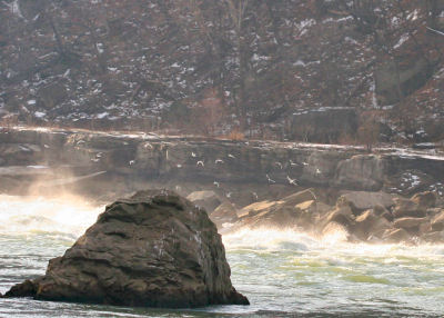 Niagara Gorge, just above the whirlpool