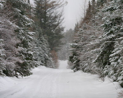 snow-covered Bigelow Road