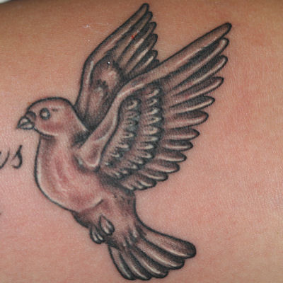 shaded and highlighted the bird resulting in this finished dove tattoo
