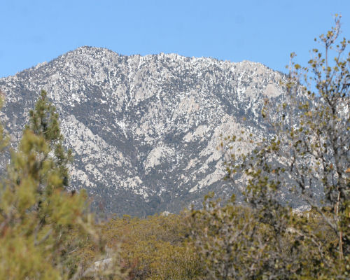 view from Hurkey Creek Park