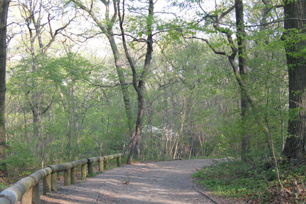 Forest Park equestrian trail