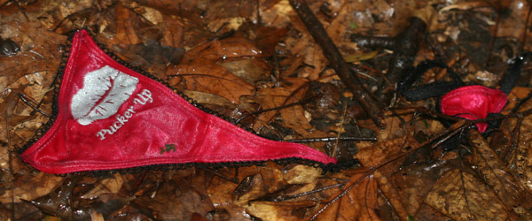 panties in Forest Park