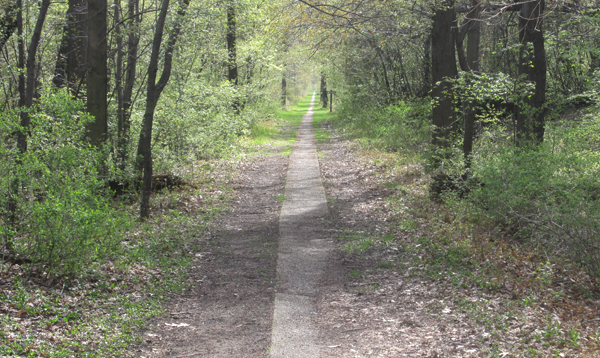 Presque Isle State Park. Presque Isle State Park.