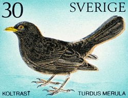 What is the National Bird of Sweden? - 10,000 Birds