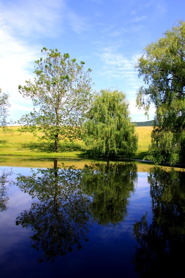 When I was in sixth grade I went on a field trip to Storm King Art Center