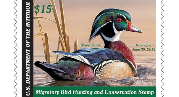 2012-federal-duck-stamp-605