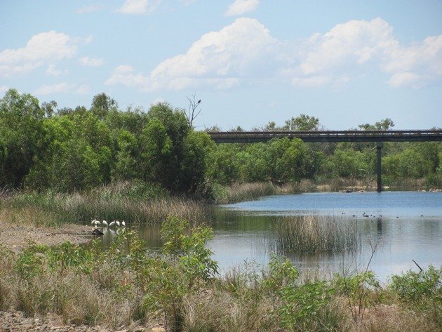 Bridge & pool in Maitland River