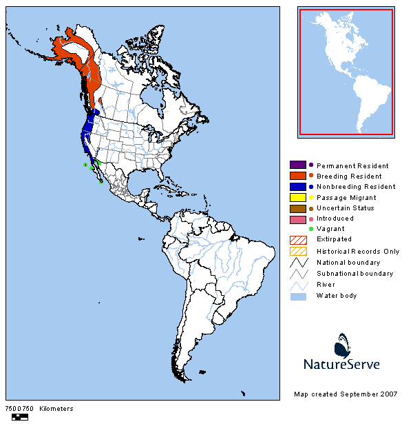 Golden-crowned Sparrow Range Map