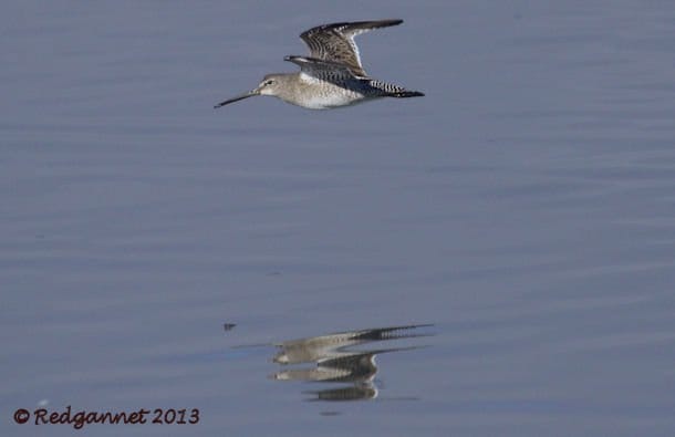 SFO 30Dec12 Reflection 03