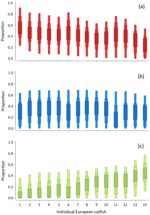 Isotopic analysis and bird-eating catfish diet