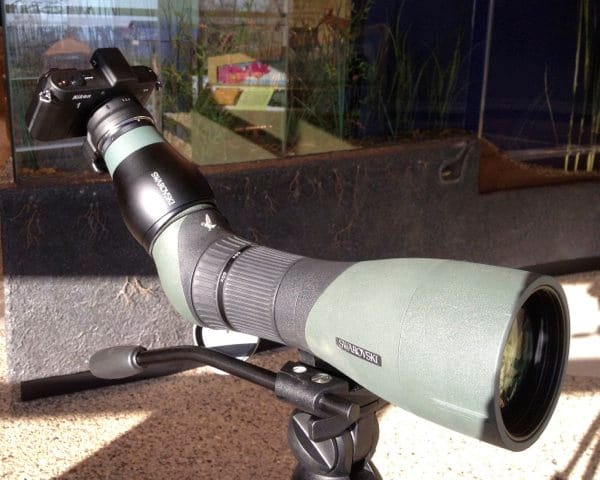 digiscoping set up