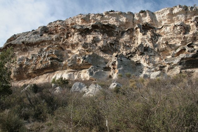 wallcreeper cliff
