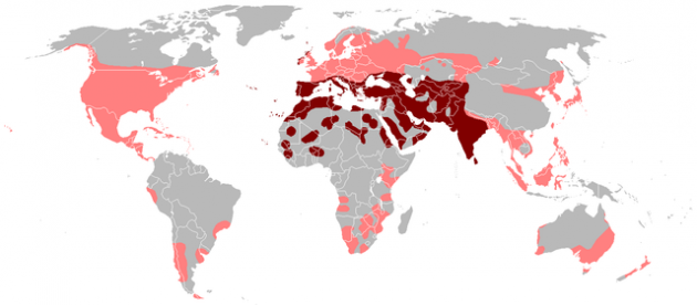 640px-Columba_livia_distribution_map_Wikimedia_Commons