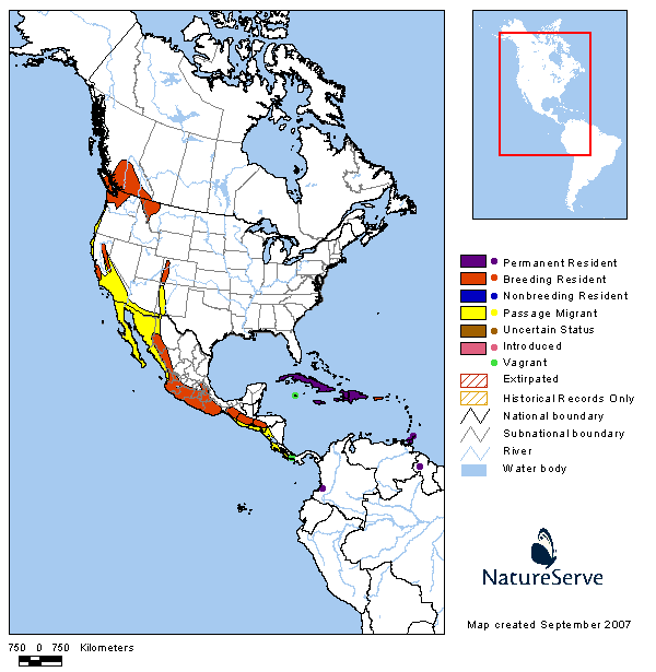 Black Swift Range Map