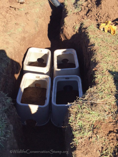 Burrowing Owl Nest Chamber