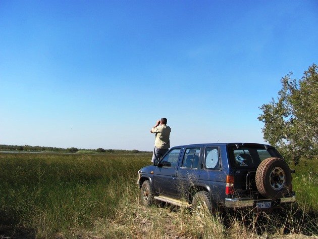 Birding from the roo bar