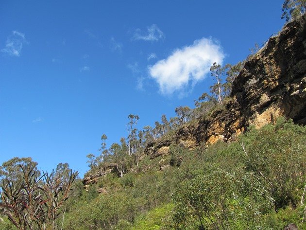 Blue Mountains