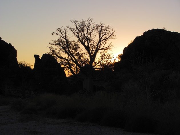 Boab sunrise