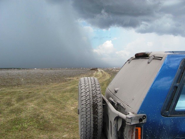 Bull dust & storm