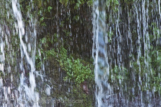 Burney Falls Swift Nest Cave