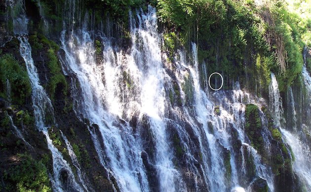 Burney Falls Swift Nest