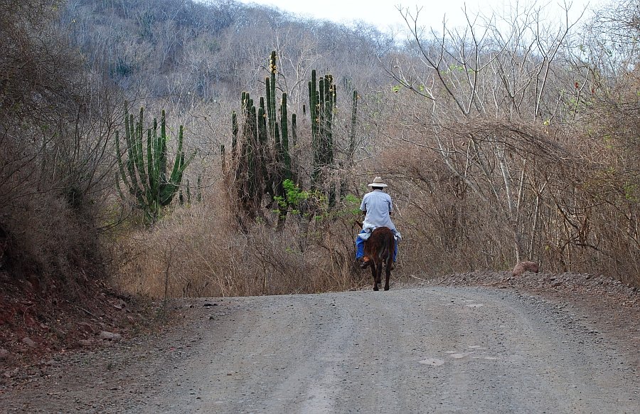 Camino La Noria