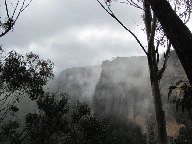 Centennial Glen Reserve (3)