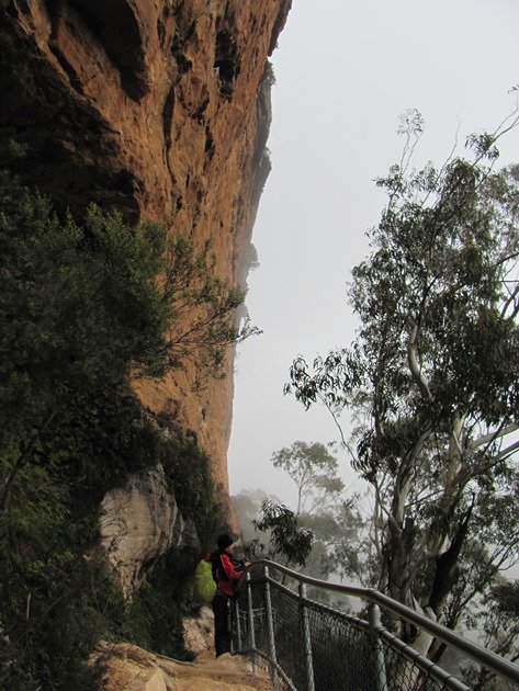 Centennial Glen Reserve (4)