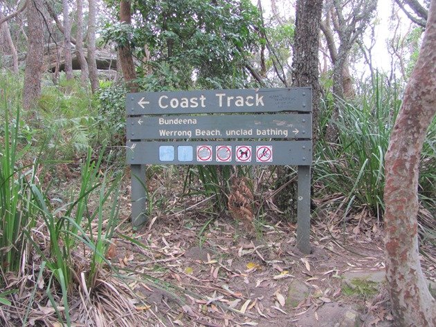 Coast track NSW