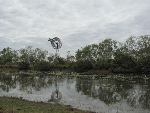 Cockatoo Lagoon (2)