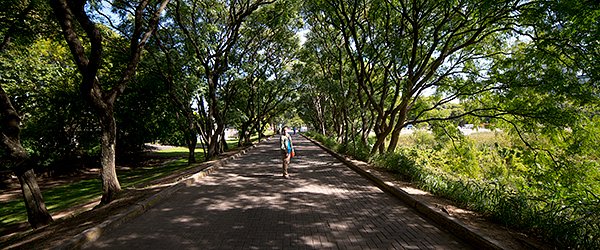 Costanera Sur Entrance