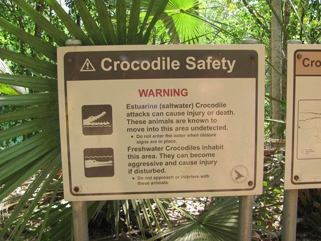 Crocodile warning