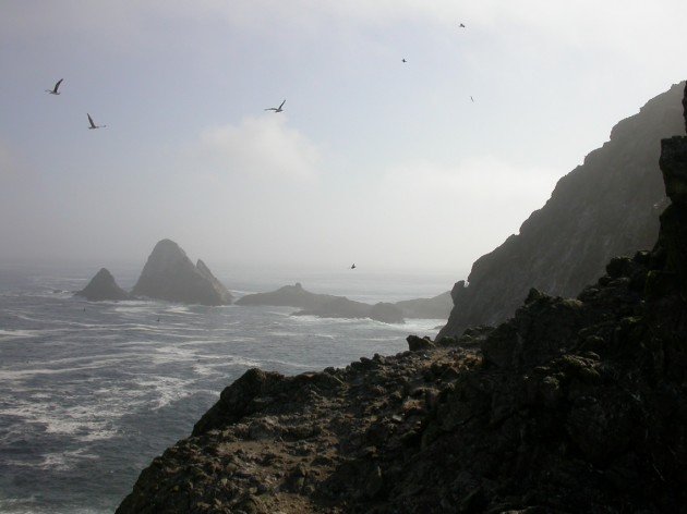 Farallon Islands