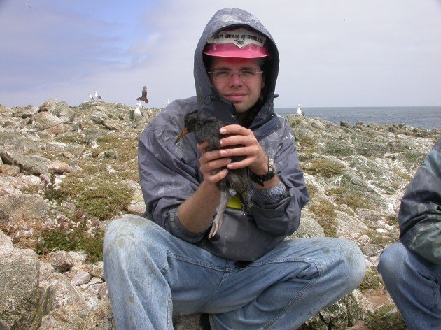 Oystercatcher chick and me