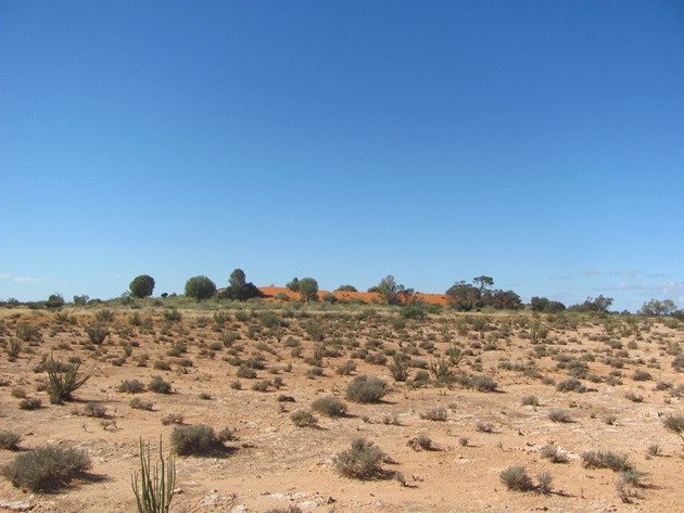 Dune at Lake Miranda