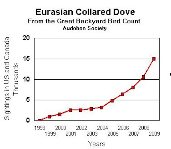 Eurasian Collared-Dove Expansion