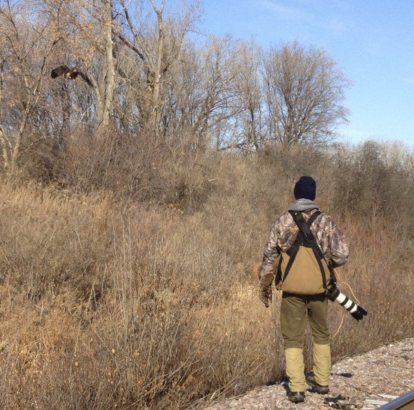 Falconry