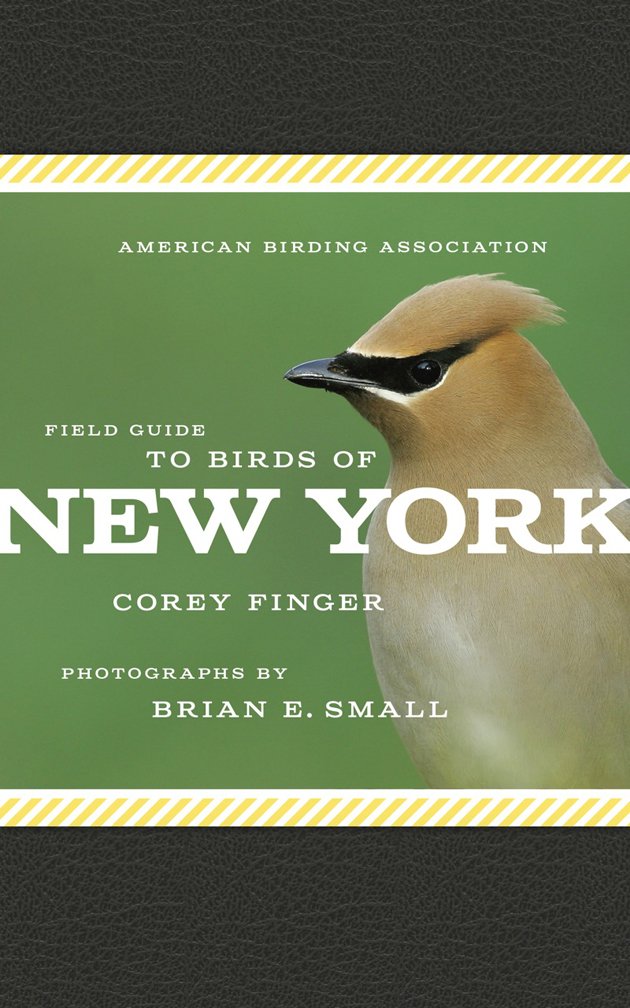 Field Guide to the Birds of New York