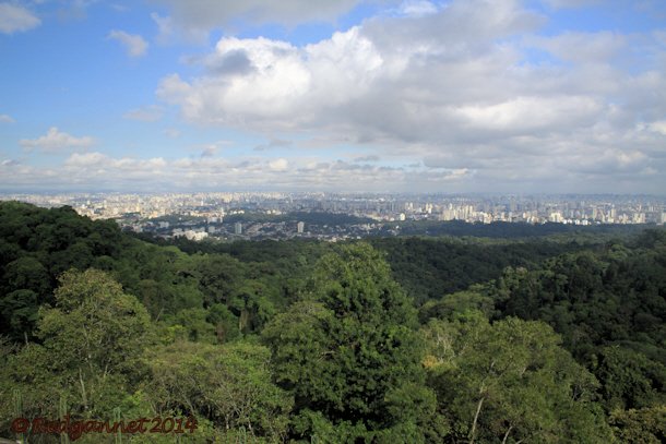 GRU 11May14 Sao Paulo 02