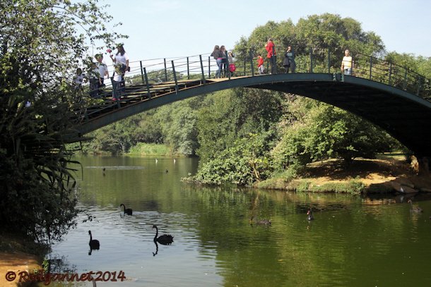 GRU 13May14 Ibirapuera Park 04