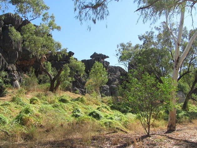 Geikie Gorge