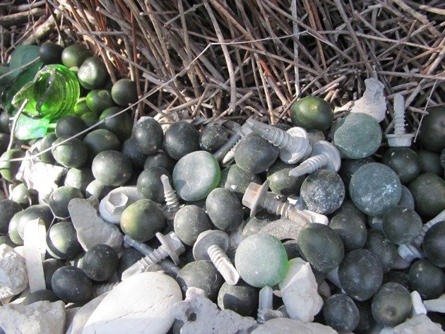 Great Bowerbird bower (15)