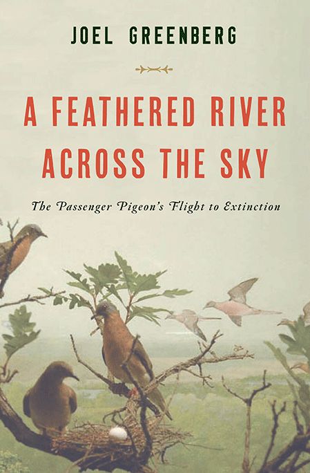 A Feathered River Across the Sky by Joel Greenberg