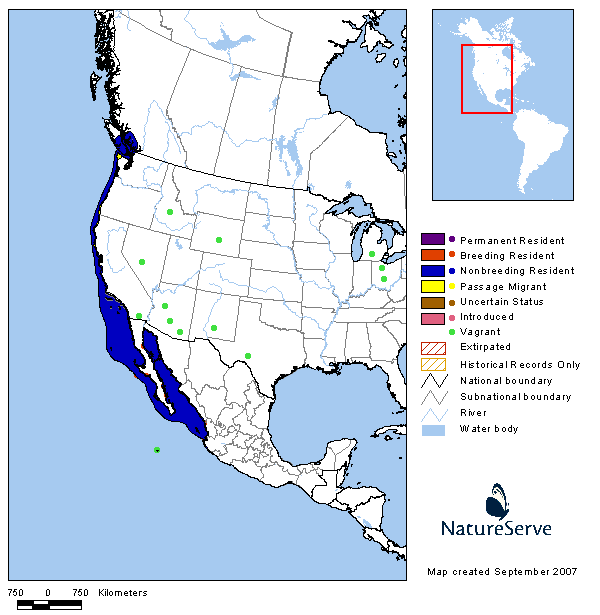 Heermann'sGull Range Map